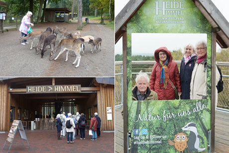 Wildpark L&uuml;neburger Heide und Baumwipfelpfad