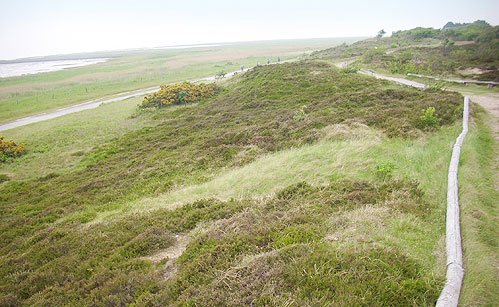 Fischessen und Nordseeluft in Cuxhaven Duhnen
