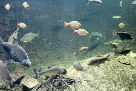 UNESCO-Biosphärenreservat in Bleckede