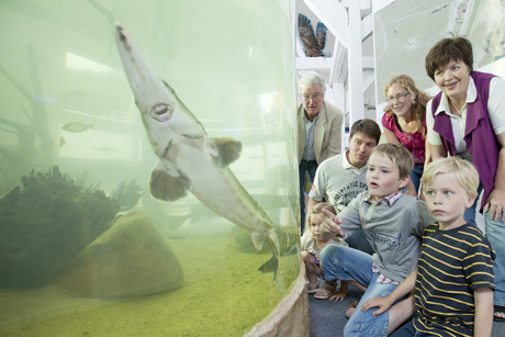 UNESCO-Biosphärenreservat in Bleckede