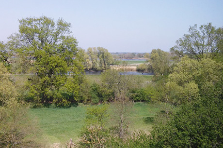 UNESCO-Biosphärenreservat in Bleckede