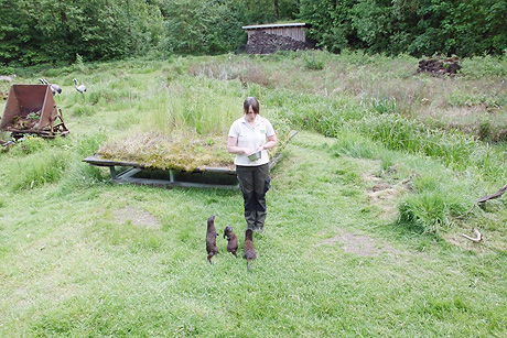 Spargelessen und Otter-Zentrum in Hankelsbüttel