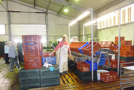 Spargelessen und Otter-Zentrum in Hankelsbüttel