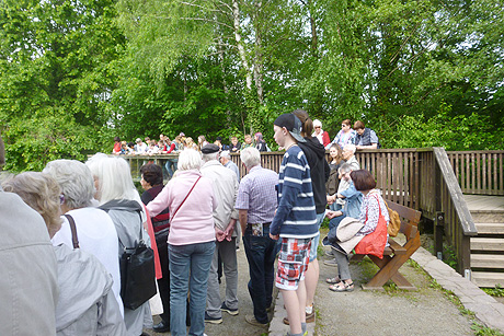 Spargelessen und Otter-Zentrum in Hankelsbüttel
