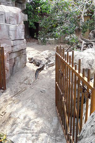 Besuch in Hagenbecks Tropen-Aquarium