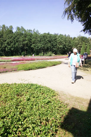 Sonne und Schnee in der L&uuml;neburger Heide