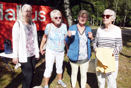 Sonne und Schnee in der L&uuml;neburger Heide