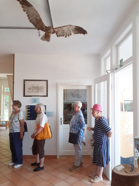 Erlebnisreiche Sommerausflüge