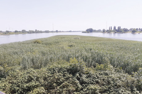 Erlebnisreiche Sommerausflüge