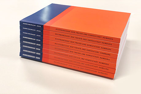 Rechnungshof-Jahresbericht 2020