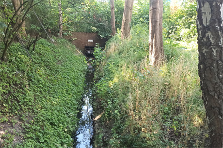 Von Stellingen bis Ohlsdorf