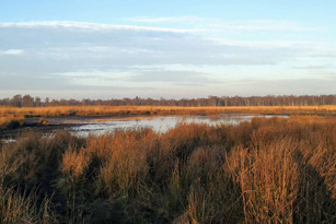 Geheimnisvolle Moore