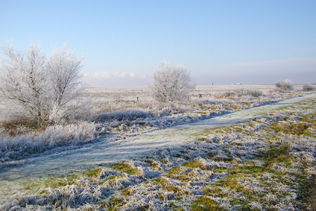 Biikebrennen in St. Peter-Ording