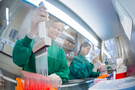 Das Paul-Ehrlich-Institut