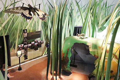 Klimahaus Bremerhaven 8� Ost