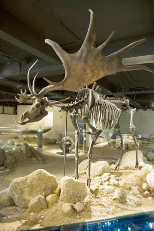 Einmal durch die Zeiten