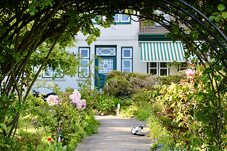 Das Treppenviertel in Blankenese