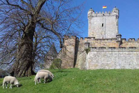 Wattenmeer, Heide und Bergketten