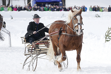 Mehr als Berge, Schlösser und Trachten