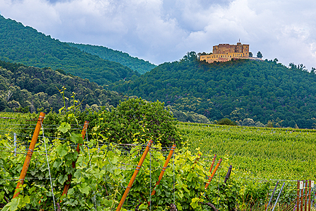 Schl&ouml;sser, Burgen und malerische Weinterrassen