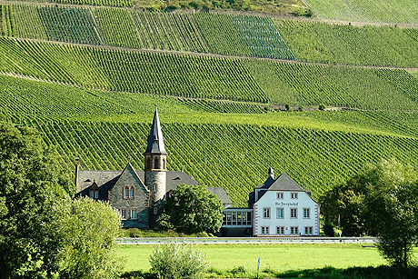 Schl&ouml;sser, Burgen und malerische Weinterrassen