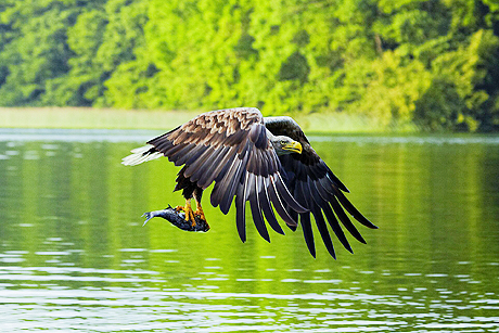 Urlaub in Mecklenburg-Vorpommern