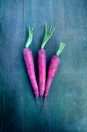 Außergewöhnliche zeitgenössische Künstler