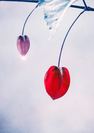 Außergewöhnliche zeitgenössische Künstler