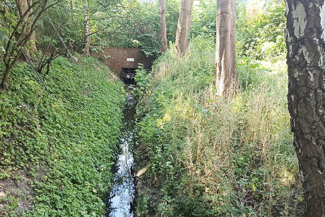 Von Stellingen bis Ohlsdorf