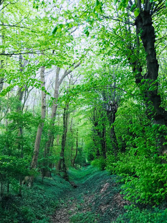 Rahmensprengende Kunst