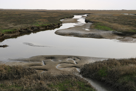 St. Peter-Ording - Eine Perle an der Nordseek&uuml;ste