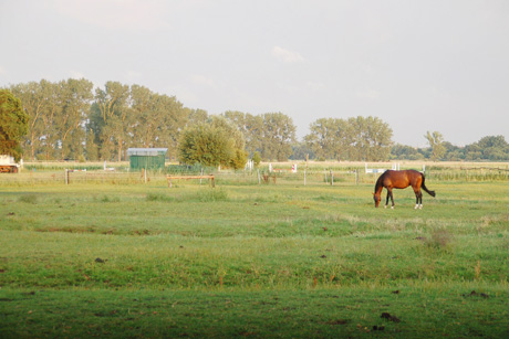 Oberbillwerder - ein umstrittenes Projekt