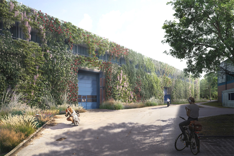 Umweltbeh&ouml;rde f&ouml;rdert Fassadengr&uuml;n