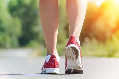 Erster Hamburger Bewegungsbericht