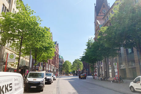 Sumpfeichen säumen große Teile der Mönckebergstraße