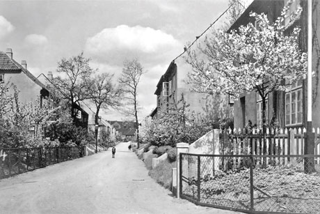 Fr&uuml;hling im Steenkamp Ende der 1920er-Jahre, Foto: (c) Archiv der Heimst&auml;ttervereinigung Steenkamp e.V