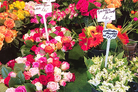 Hamburger Schnittblumen und Blumenzucht