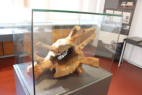 Das Stasimuseum