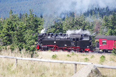 Urlaub in Thüringen, Sachsen und Sachsen-Anhalt